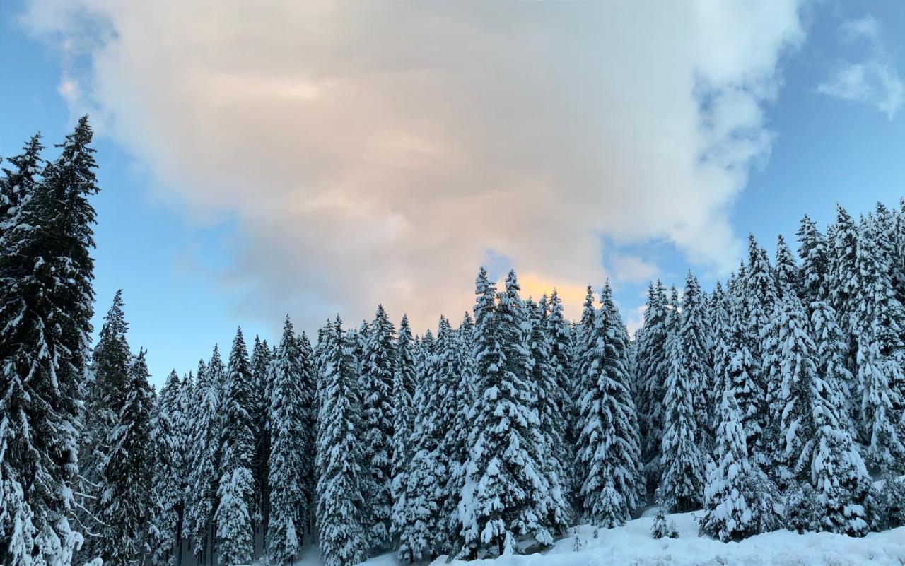 Cedar Next To Lift One Bedroom Апартамент
