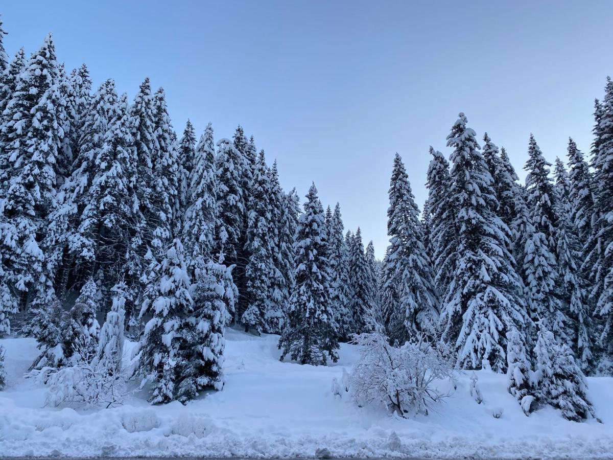 Cedar Next To Lift One Bedroom Апартамент *