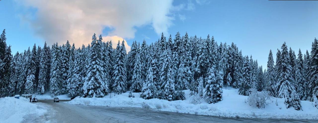 Cedar Next To Lift One Bedroom Bansko