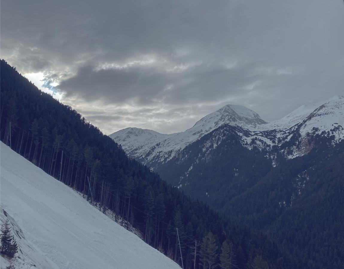 Cedar Next To Lift One Bedroom * Bansko