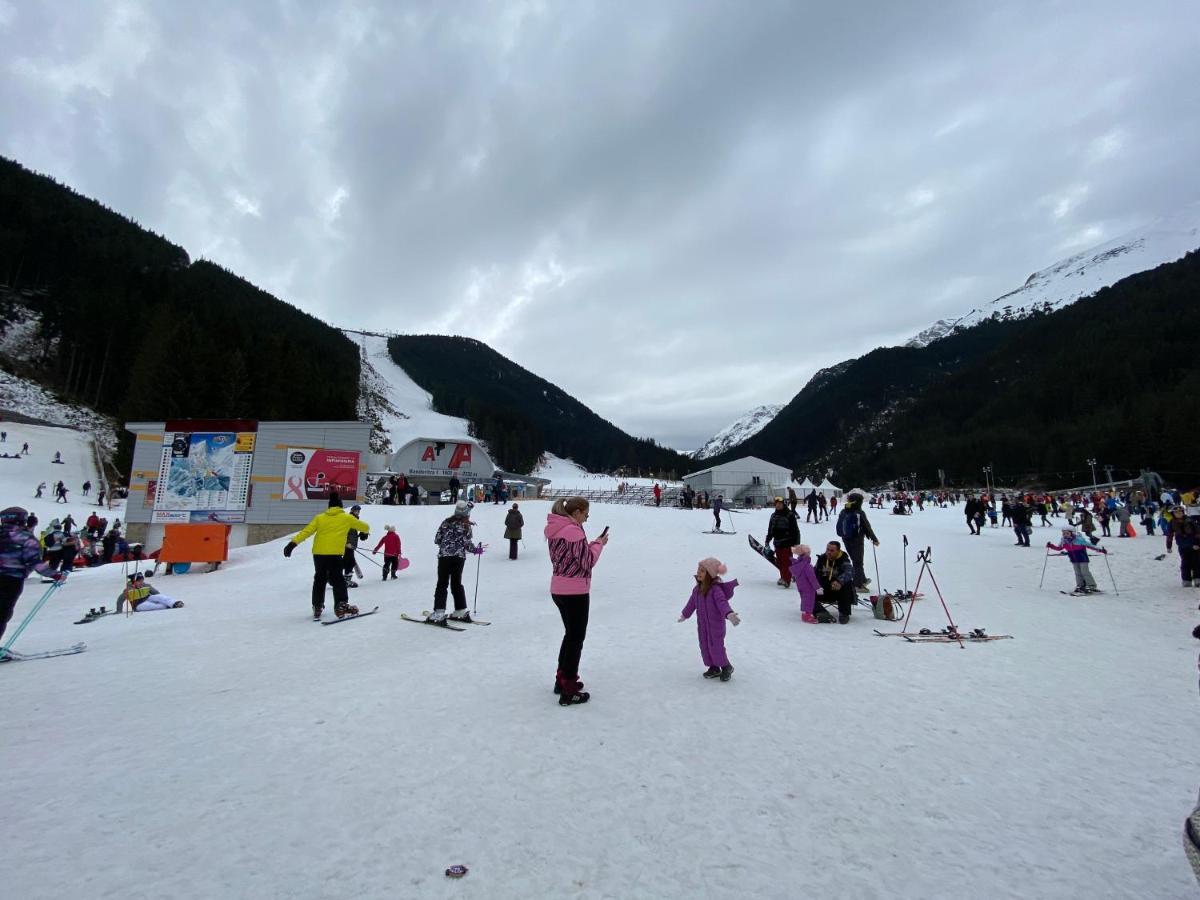 Cedar Next To Lift One Bedroom Apartment Bansko